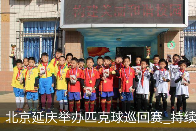 北京延庆举办匹克球巡回赛 持续擦亮户外运动城市名片